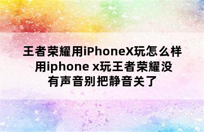 王者荣耀用iPhoneX玩怎么样 用iphone x玩王者荣耀没有声音别把静音关了